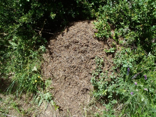  Paesaggi della zona 